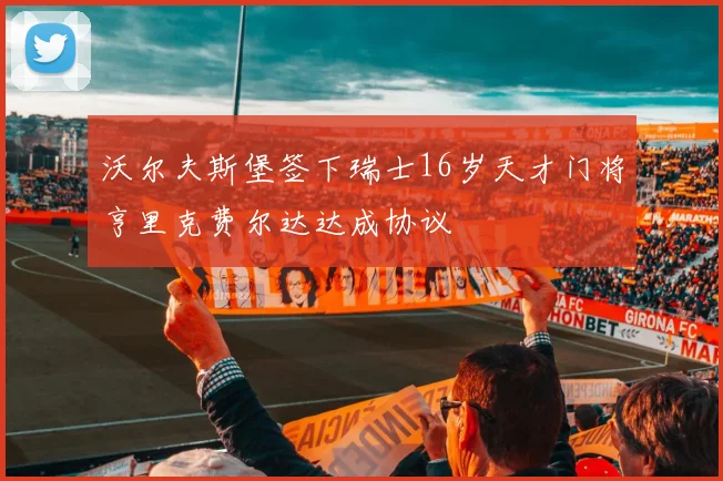 沃尔夫斯堡签下瑞士16岁天才门将亨里克费尔达达成协议